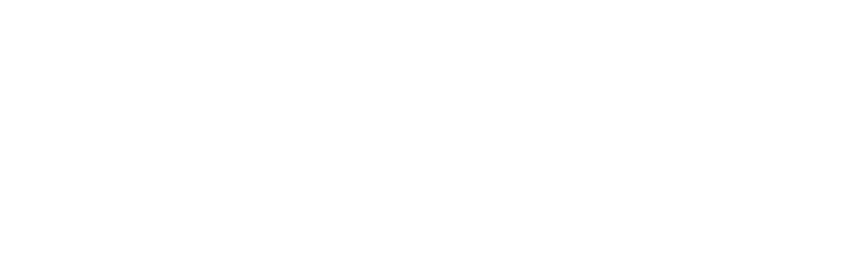 Simmental logo